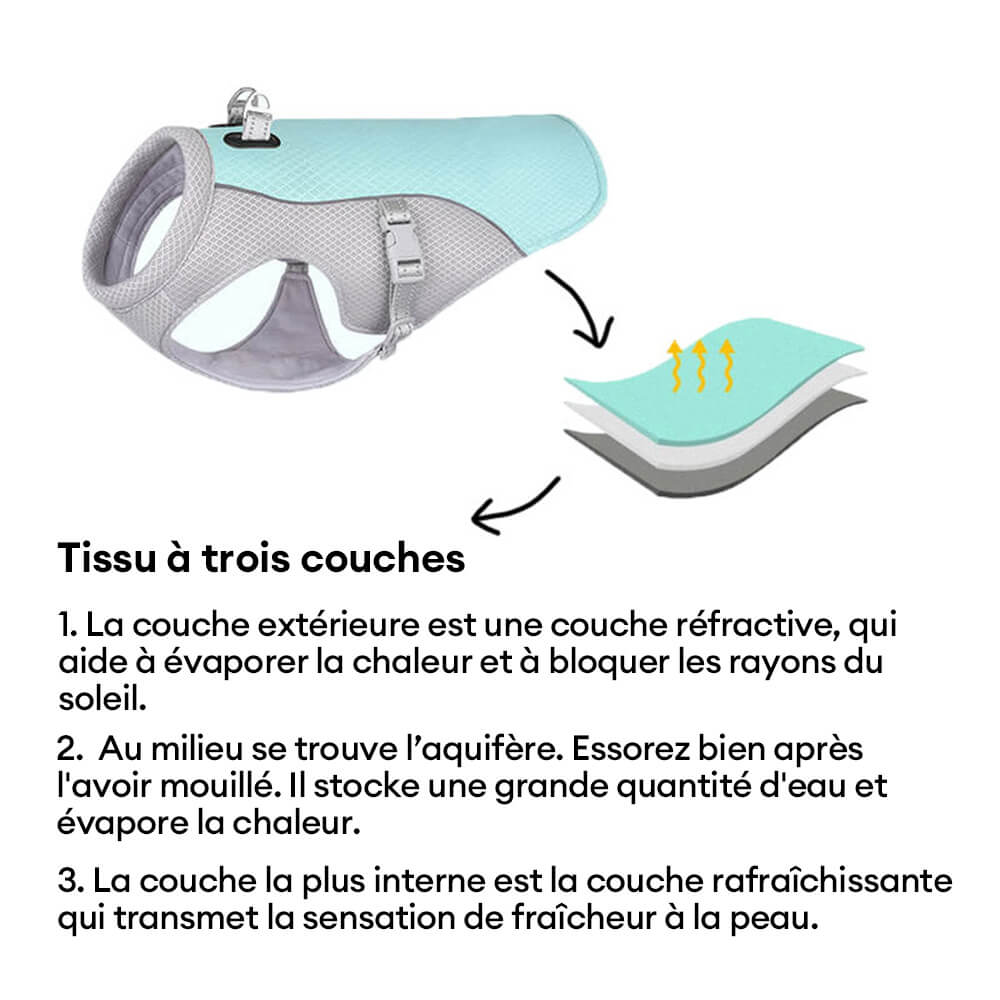 Gilet Respirant Prévention Insolation Gilet Refroidissant Pour Chien Imbibable