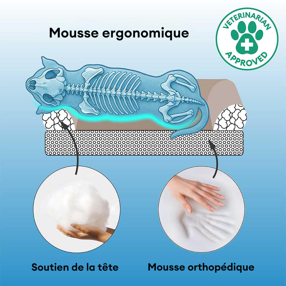 Lit pour chien style nordique imperméable anti-rayures lavable avec coussin