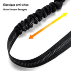 Ceinture de sécurité pour chien avec attache pour appui-tête de voiture