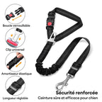 Ceinture de sécurité pour chien avec attache pour appui-tête de voiture