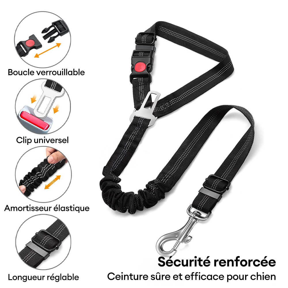 Ceinture de sécurité pour chien avec attache pour appui-tête de voiture