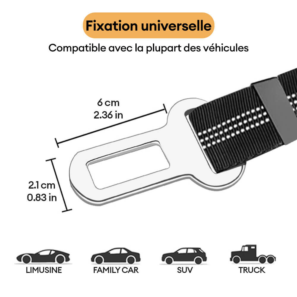 Ceinture de sécurité pour chien avec attache pour appui-tête de voiture