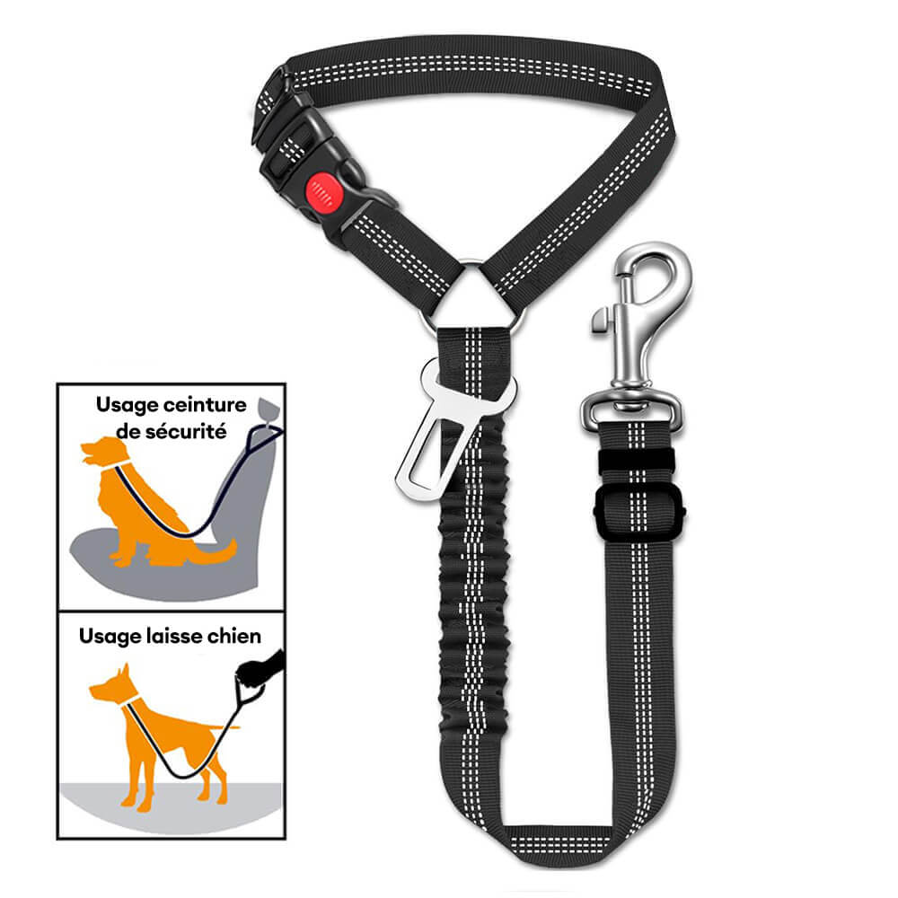 Ceinture de sécurité pour chien avec attache pour appui-tête de voiture