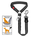 Ceinture de sécurité pour chien avec attache pour appui-tête de voiture