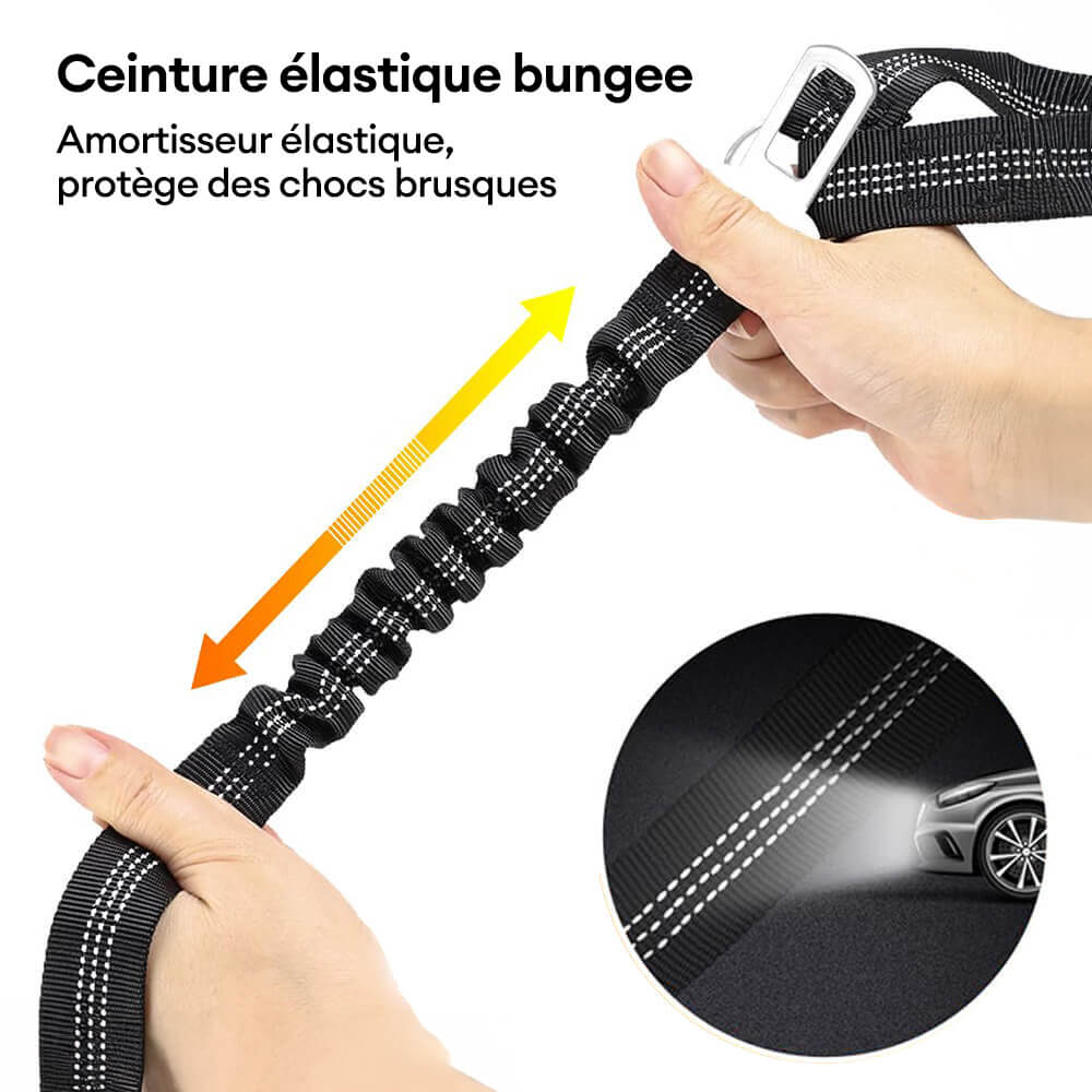 Ceinture de sécurité pour chien avec attache pour appui-tête de voiture