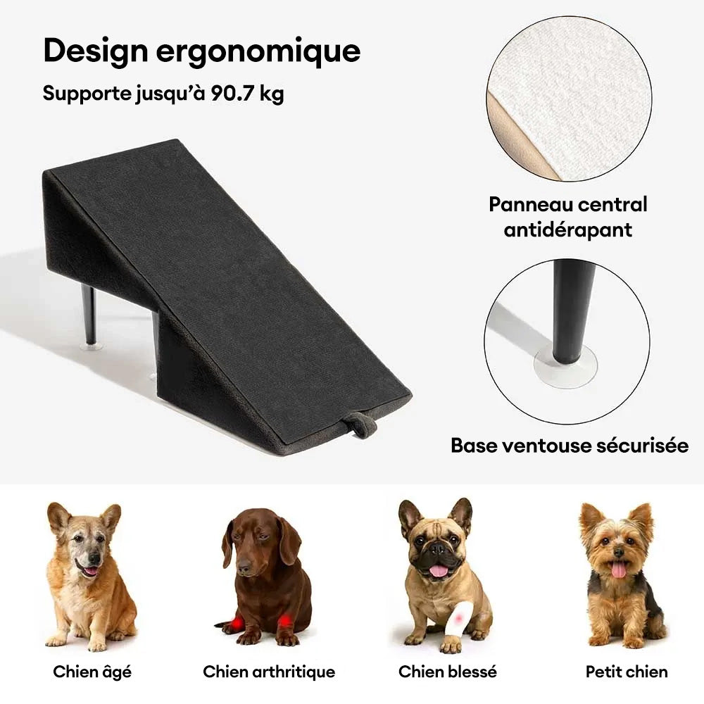 Rampe pour chien 2 en 1 en bois convertible avec marchepied pour la maison