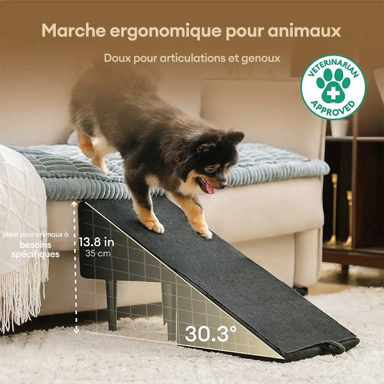 Rampe pour chien 2 en 1 en bois convertible avec marchepied pour la maison