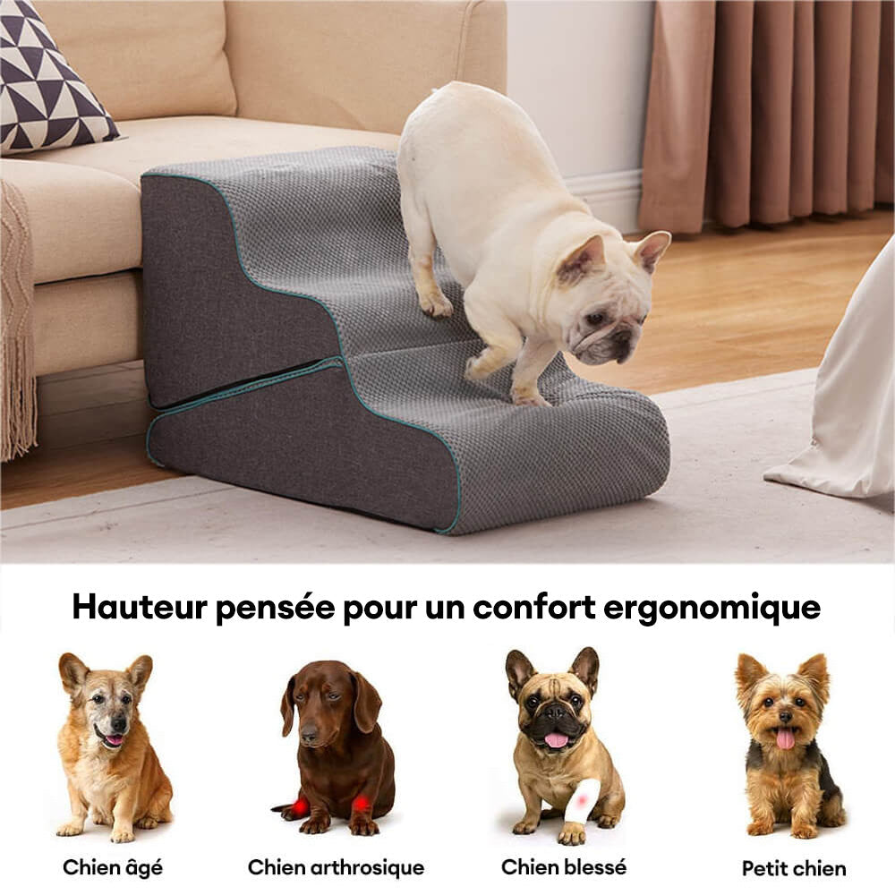 Escaliers pour chien pliables 2 en 1 multifonction avec fonction rampe