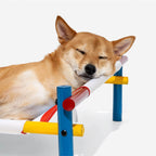 Lit élevé en aluminium avec imprimé estival - Paradis d'été