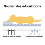 Canapé-lit lavable en peluche pour chien - Crème Douce