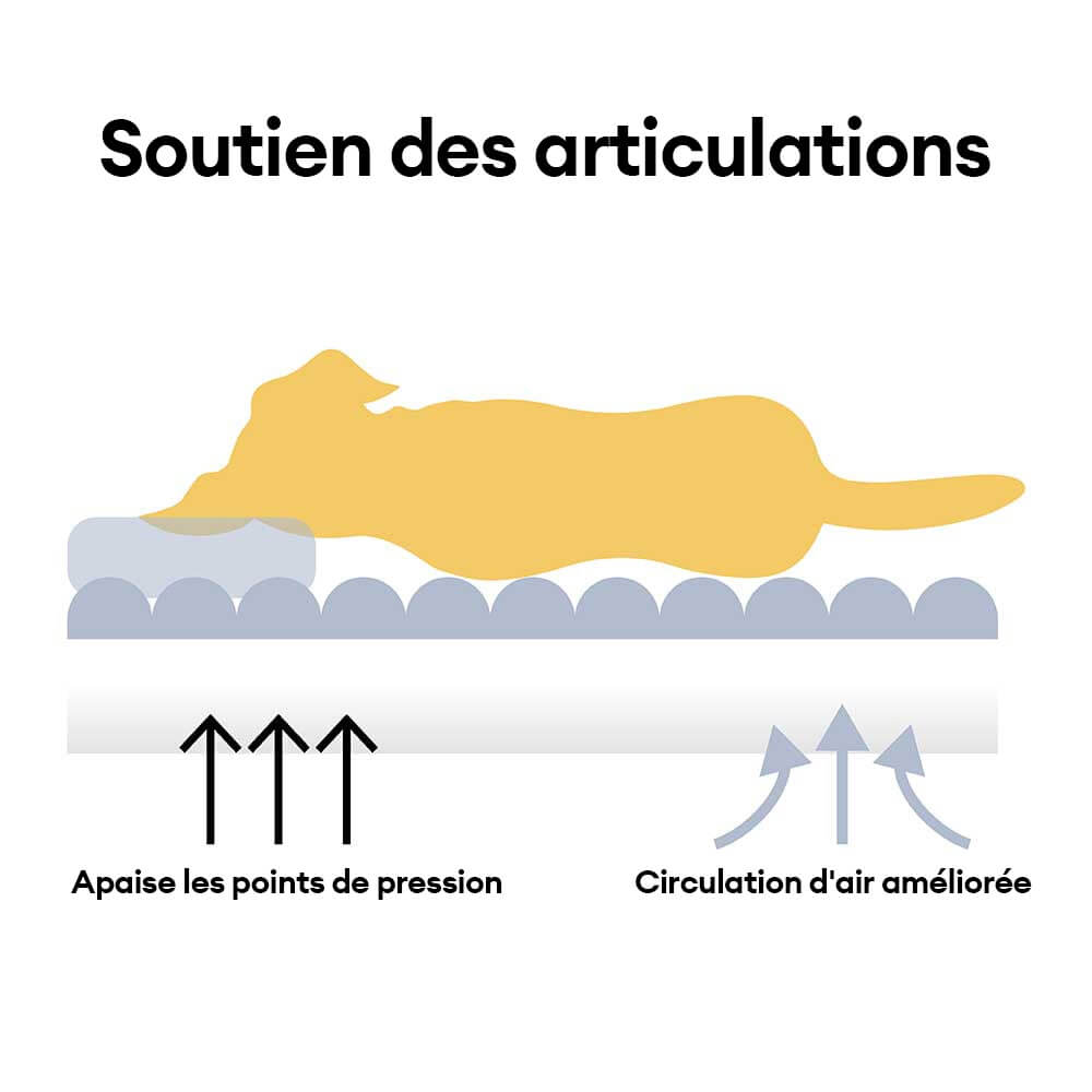 Canapé-lit lavable en peluche pour chien - Crème Douce