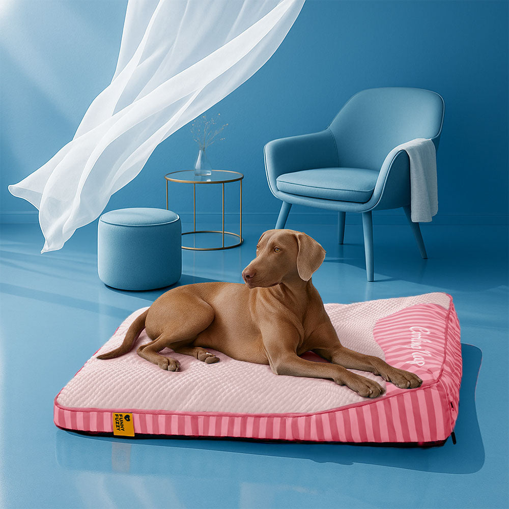 Lit orthopédique pour chien rectangulaire extra large lavable - Sieste rafraîchissante