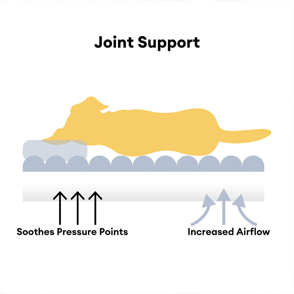 Coussin de soutien doux et apaisant lavable pour chat - Snoozy Dream