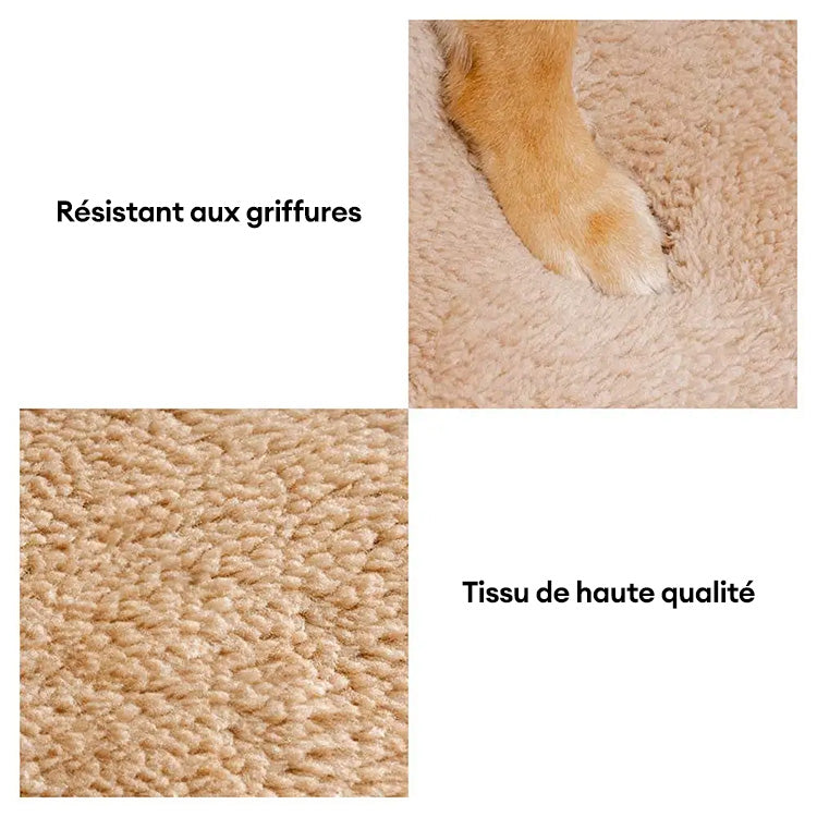 Rampe d'accès douce pour chien escalier pour lit et canapé protection des articulations