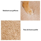 Rampe d'accès douce pour chien escalier pour lit et canapé protection des articulations