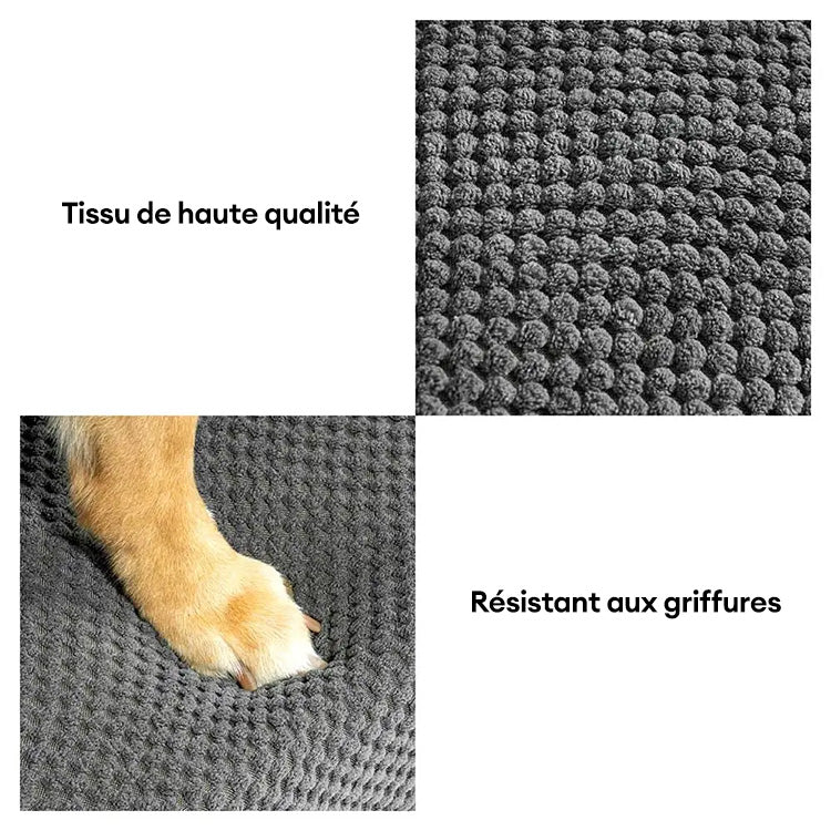 Escaliers pour chien réglables doux antidérapants et lavables avec rampe douce