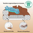 Lit orthopédique pour chien en velours diamant amovible en forme de donut avec coussin - DreamNest