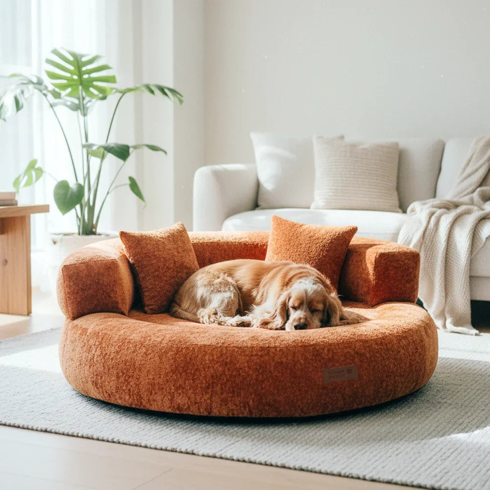 Lit orthopédique pour chien en velours diamant amovible en forme de donut avec coussin - DreamNest