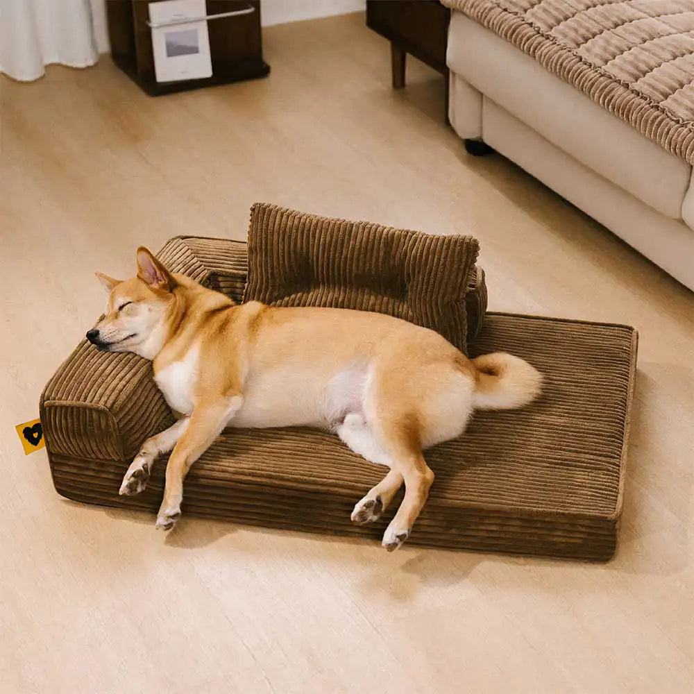 Lit orthopédique pour chien en velours côtelé anti-rayures amovible avec coussin - ComfySofa