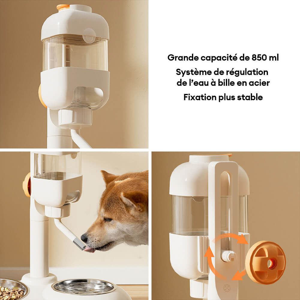 Distributeur automatique pour animaux avec bol d'alimentation et d'eau