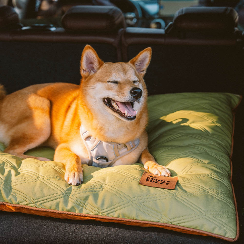 Tapis réversible apaisant imperméable pour chien de luxe