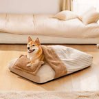 Lit orthopédique pour chien couvert en peluche rayée avec oreiller - FluffyWarm