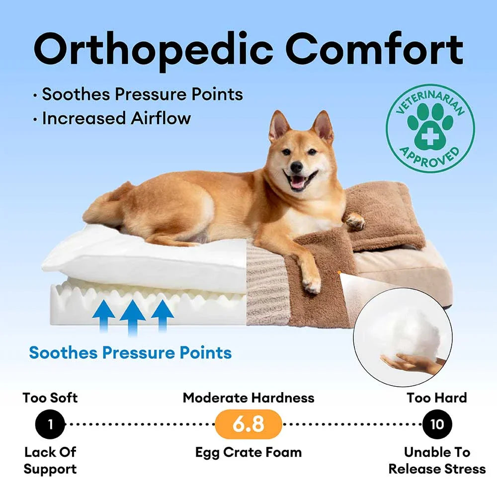 Lit orthopédique pour chien couvert en peluche rayée avec oreiller - FluffyWarm