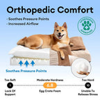 Lit orthopédique pour chien couvert en peluche rayée avec oreiller - FluffyWarm