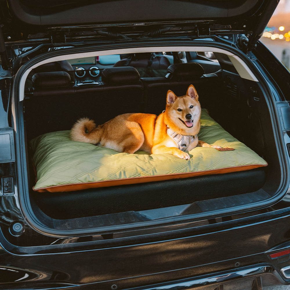 Tapis réversible apaisant imperméable pour chien de luxe