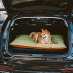 Tapis réversible apaisant imperméable pour chien de luxe