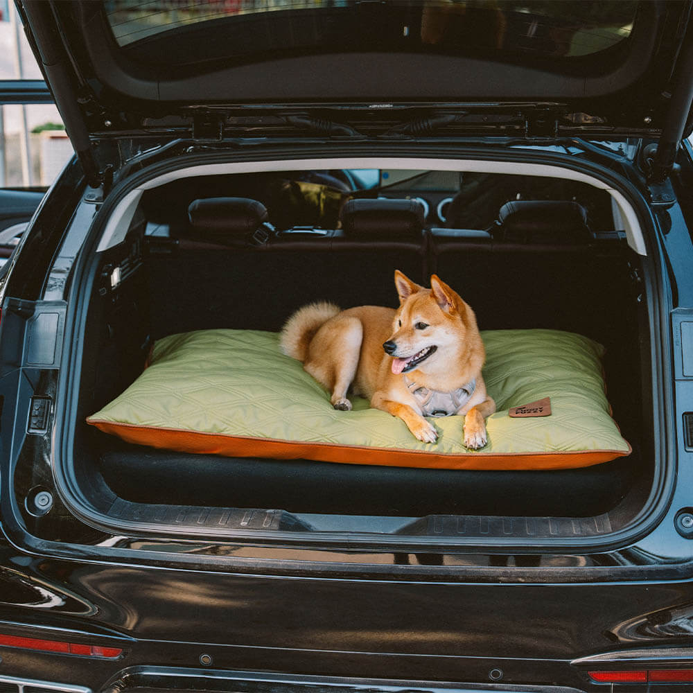 Tapis réversible apaisant imperméable pour chien de luxe