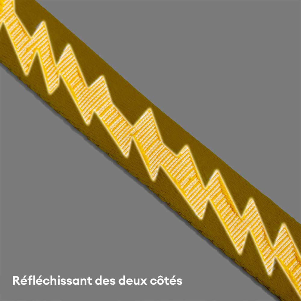 Laisse pour chien grande taille nylon réfléchissante réglable polyvalente avec poignée souple - Flexi Walker