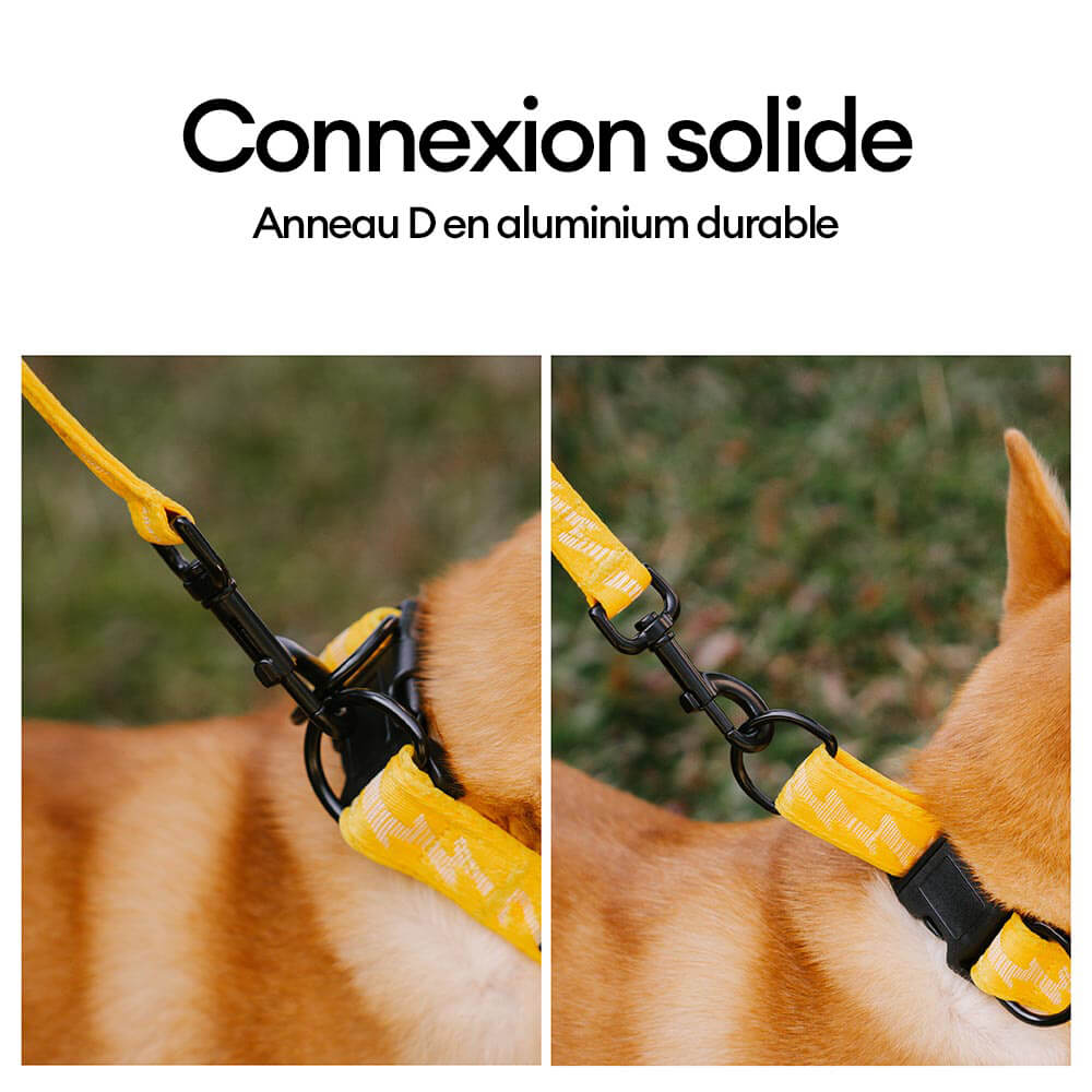 Collier pour chien réglable en nylon durable FUNNYFUZZY - Flexi Walker