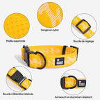 Collier pour chien réglable en nylon durable FUNNYFUZZY - Flexi Walker