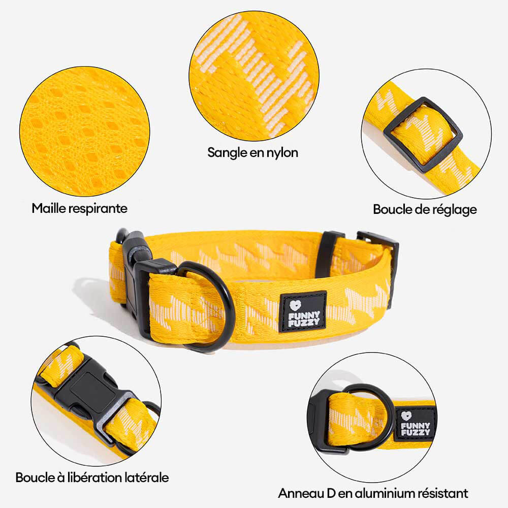 Collier pour chien réglable en nylon durable FUNNYFUZZY - Flexi Walker