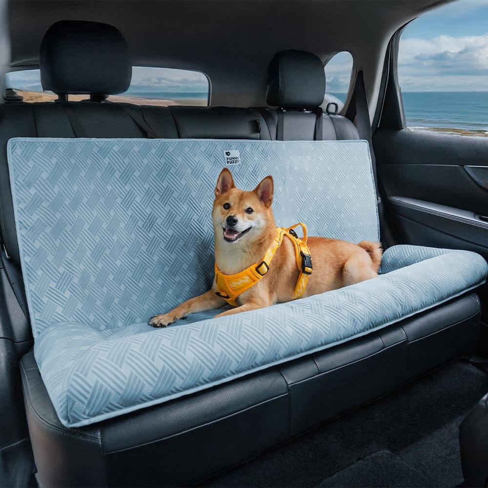 Coussin de sécurité pour chien grande taille Chill Rover pour voyage frais en voiture