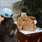 Transporteur pour animaux écologique en nylon Dupont imperméable - City Roamer