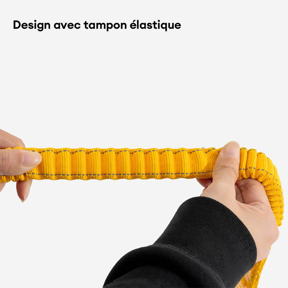 Laisse pour chien grande taille nylon réfléchissante réglable polyvalente avec poignée souple - Flexi Walker
