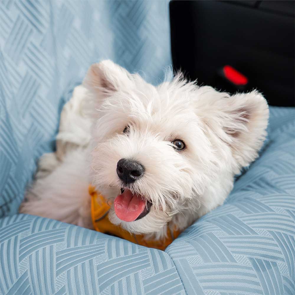 Coussin de sécurité pour chien grande taille Chill Rover pour voyage frais en voiture