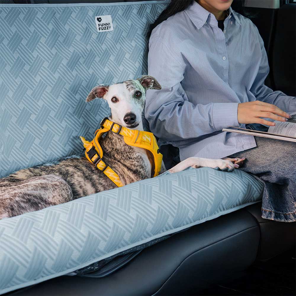 Coussin de sécurité pour chien grande taille Chill Rover pour voyage frais en voiture