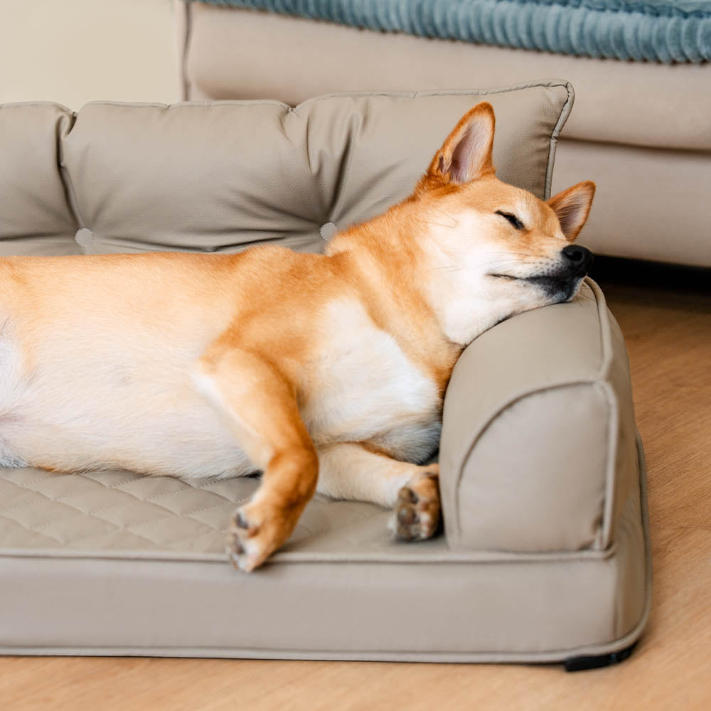 Luxe lit pour chien grand en simili cuir pliable orthopédique - CoreLounge