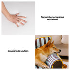 Canapé-lit pliable déperlant pour chien à rayures tendance - Sunny Siesta