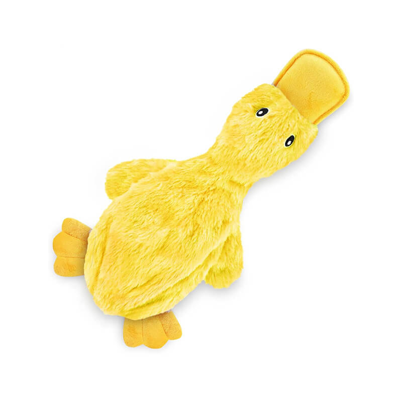Jouet pour chien en forme de canard avec sifflet mignon-Exclusif app