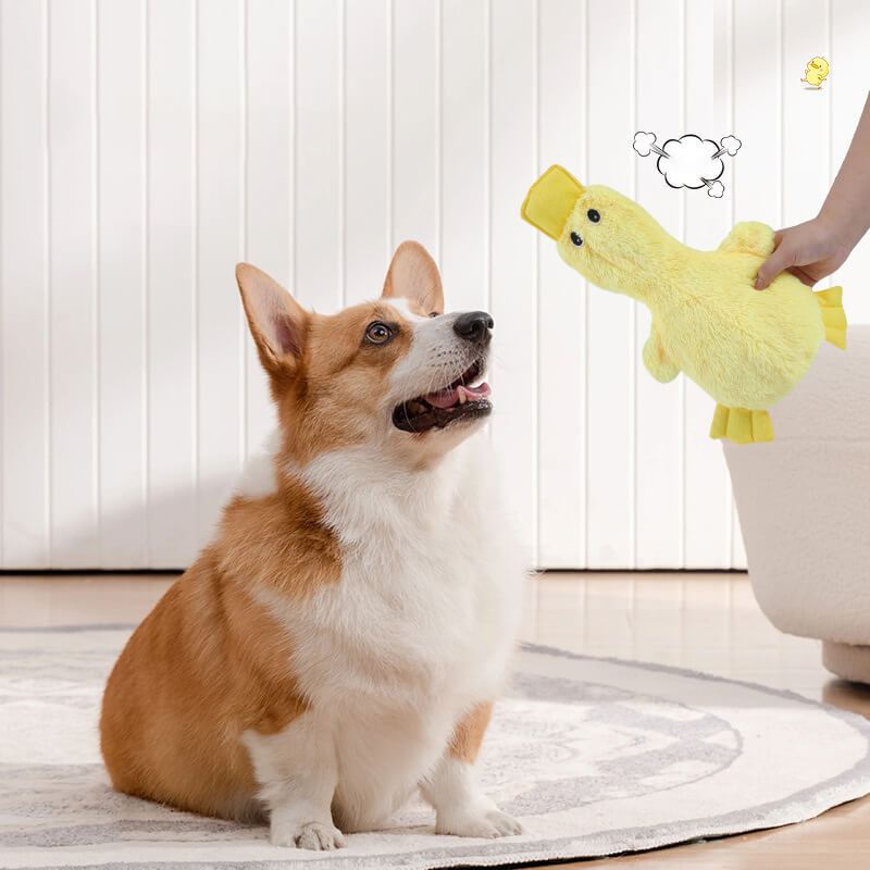 Jouet pour chien en forme de canard avec sifflet mignon-Exclusif app
