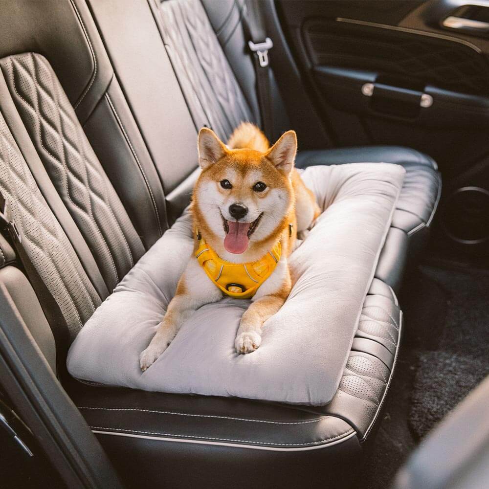 Tapis apaisant double face en peluche lavable pour chien