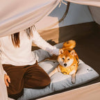 Tapis apaisant double face en peluche lavable pour chien