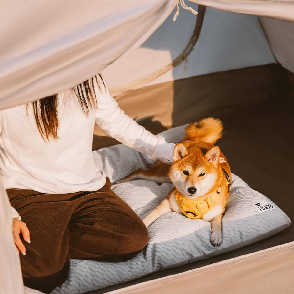 Tapis apaisant double face en peluche lavable pour chien