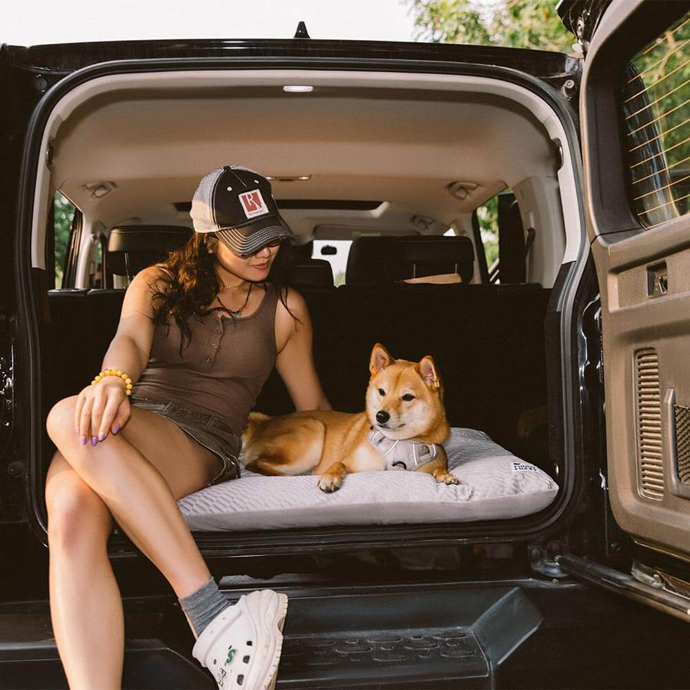 Tapis apaisant double face en peluche lavable pour chien