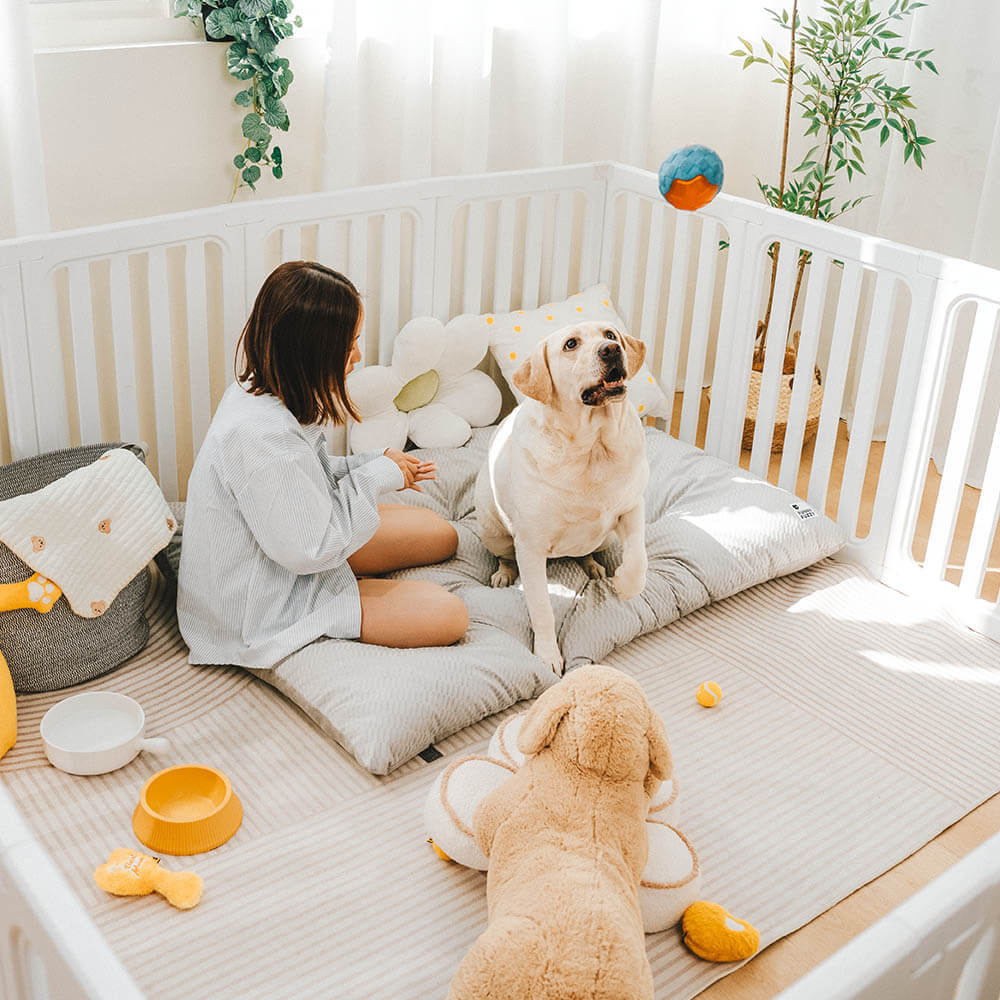 Tapis apaisant double face en peluche lavable pour chien