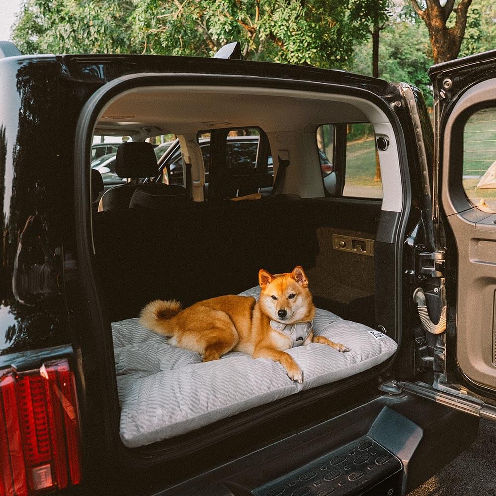 Tapis apaisant double face en peluche lavable pour chien